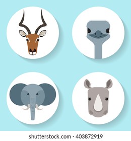 Set of 4 african animal portrait. Vector flat icons.