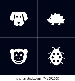 Set Of 4 Alive Icons Set.Collection Of Porcupine, Ape, Hound And Other Elements.