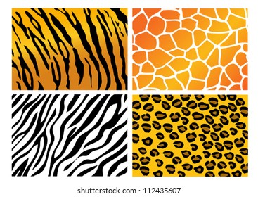 Set of 4 animal skins pattern vector tiger pattern, Giraffe pattern, zebra pattern and leopard pattern.