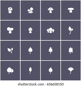 set of 4 autumn elements such as mushroom and leaf icon