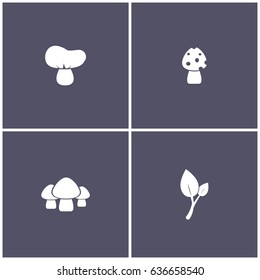 set of 4 autumn elements such as mushroom and seed icon