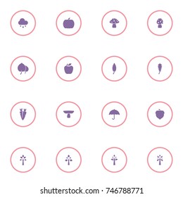 set of 4 autumn elements such as cloud, pumpkin, mushroom, leaf, apple, carrot, umbrella, acorn and tree icon