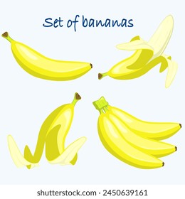 Set con 4 bananas en estilo plano. Ilustración vectorial aislada sobre fondo blanco
