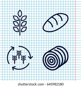 Set of 4 barley outline icons such as wheat, harvest, hay