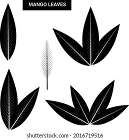 Conjunto de 4 hojas de mango vectorial negro junto con un esqueleto de hoja.