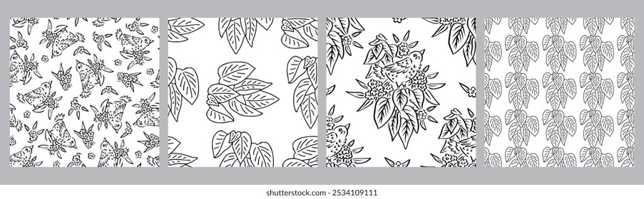 Set of 4 black and white Seamless patterns with cute inky bird and flowers motifs. Hand drawn monochrome floral wallpaper