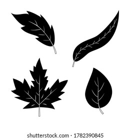 Conjunto de 4 hojas de siluetas blancas y negras. Textura detallada de las hojas del bosque. Elementos de tinta vectorial aislados en fondo blanco.
