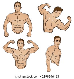 set of 4  bodybuilder poses illustration