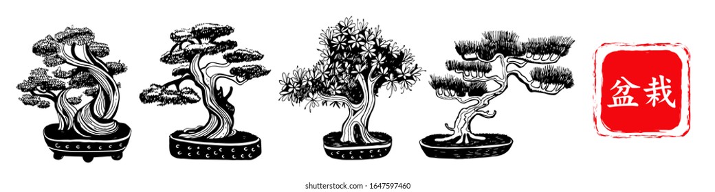 Set of 4 Bonsai trees. Vector hand drawn black and white illustration on a white background. Inscription in Japanese: Bonsai.