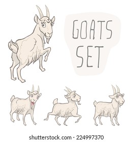Set of 4 characters goats. Character design. Vector illustration, EPS 10. Contains transparent objects