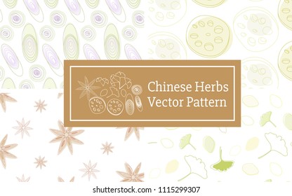 Set of 4 Chinese Herbs Drawing Vector Pattern on White Background. Lemongrass, Anise Star, Lotus Root, and Ginkgo.