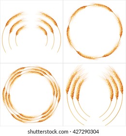 Set of 4 detailed Wheat ears, Cereal ears, isolated on white background. Agriculture industry background. EPS 10 vector file included