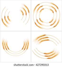 Set of 4 detailed Wheat ears, Cereal ears, isolated on white background. Agriculture industry background. EPS 10 vector file included