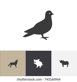 Set Of 4 Editable Animal Icons. Includes Symbols Such As Wolf, Pigeon, Swine And More. Can Be Used For Web, Mobile, UI And Infographic Design.
