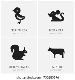 Set Of 4 Editable Zoology Icons. Includes Symbols Such As Kine, Bird, Rat And More. Can Be Used For Web, Mobile, UI And Infographic Design.