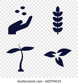 Set of 4 environmental filled icons such as plant