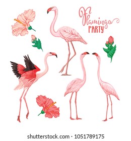 Set of 4 flamingo birds and flamingo hibiscus for flamingo party. Stock vector illustration.