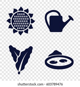 Set of 4 flora filled icons such as spinach, sunflower, watering can