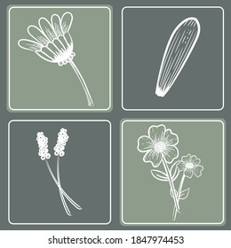 Set of 4 Floral Patterns with hand drawn flowers. Vector sketching