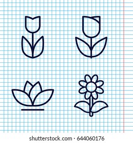 Set of 4 flower outline icons such as flower