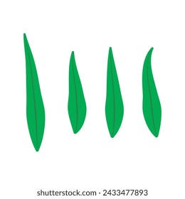 Conjunto de 4 hojas verdes ilustración de icono simple. Elementos de estilo de dibujos animados para diseño web o de productos.