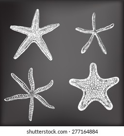 Set of 4 hand - drawn starfishes on chalkboard background.