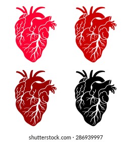 set of 4 human's heart, red and black, vector illustration design