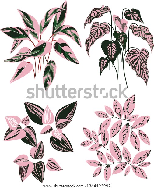 Set 4 Illustrated Pink Green Indoor Royalty Free Stock Image