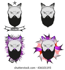 set of 4 images  brutal cat with a beard