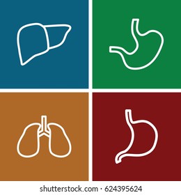set of 4 internal outline icons such as stomach, liver