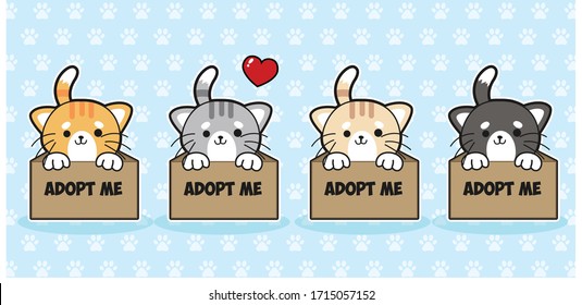 Set of 4 kawaii cats. Cute 4 cats waiting for adopt in paper box. vector cartoon character.