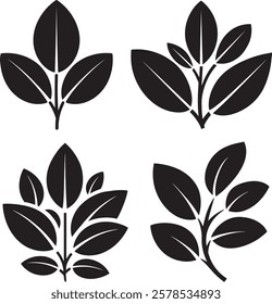 A Set of 4 Leaves Bunch Vector Design