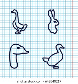 Set of 4 lovely outline icons such as goose