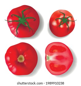 Set of 4 realistic vector tomatoes: 3 full and one cutted isolated on white background. View from top. 3d beautiful red tomato with shadows.