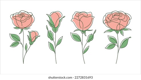 Set of 4 Roses line art drawing. Decorative beautiful roses flower with thin line art style. Minimalist set of roses illustration. Vector illustration