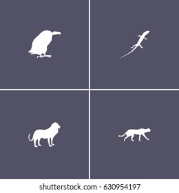 set of 4 safari animals icon