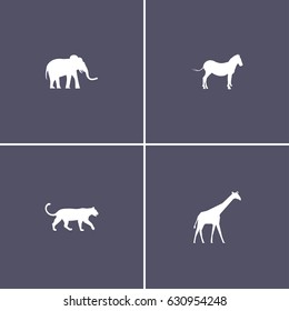 set of 4 safari animals icon