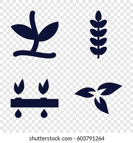 Set of 4 seedling filled icons such as 