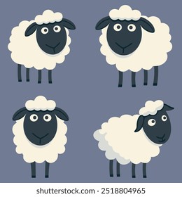 Set of 4 Sheep. Flat Vector Illustration