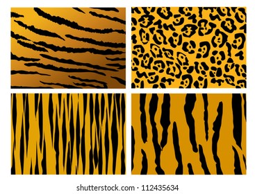 Set of 4 tiger skins pattern vector