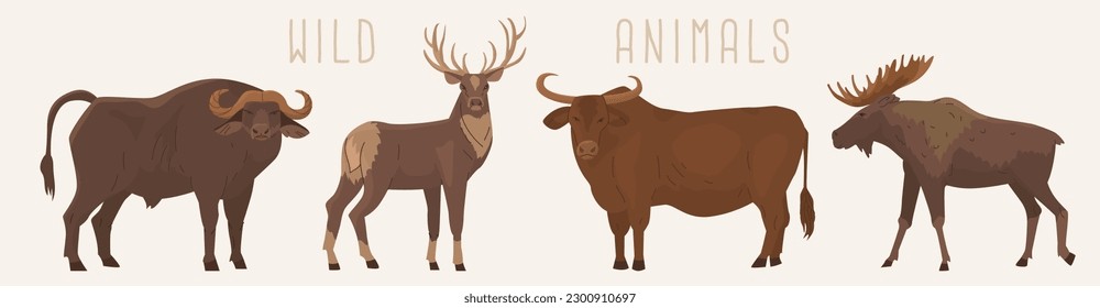 Set of 4 ungulates. Buffalo, bull, deer, elk. Wild Forest and steppe animals. Environmental protection. Cattle. Vector illustration. Isolated objects on white background.