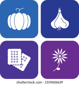 Set Of 4 Universal Icons For Mobile Application and websites
