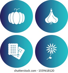 Set Of 4 Universal Icons For Mobile Application and websites
