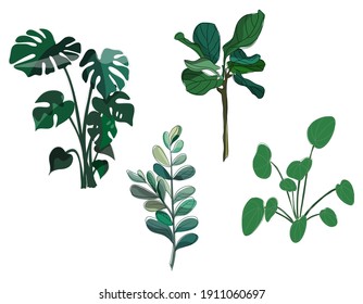 A set of 4 vector botanical of tropical tree and leaf, created with many shade green and blue green colour. Isolate image.