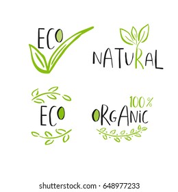 Set of 4 Vector eco, bio green logo or sign. Vegan, raw, healthy food badge, tag for cafe, restaurants, products packaging. Leaves, branches, plant elements with lettering. Organic design template.