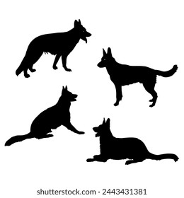 Set of 4 vector German shepherd dog silhouettes sitting, standing alert and lying down on a white background.