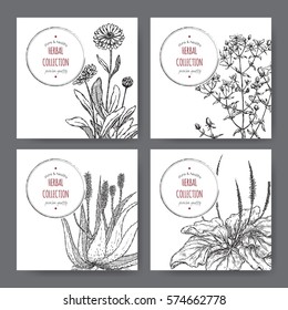 Set of 4 vector herbal tea labels with calendula, saint john wort, aloe vera and plantago hand drawn sketch. Placed on white background.