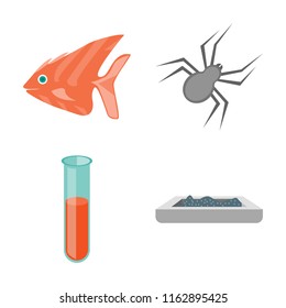 Set of 4 vector icons such as Fish, Spider, Test tube, Litter box, web UI editable icon pack, pixel perfect