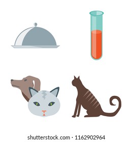 Set of 4 vector icons such as Food, Test tube, Pet, Cat, web UI editable icon pack, pixel perfect