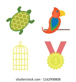 Set of 4 vector icons such as Turtle, Parrot, Bird cage, Winner, web UI editable icon pack, pixel perfect